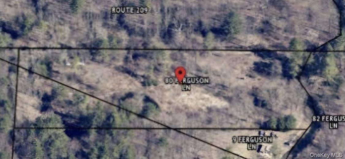 358/80 Ferguson LN, Wurtsboro, NY 12790