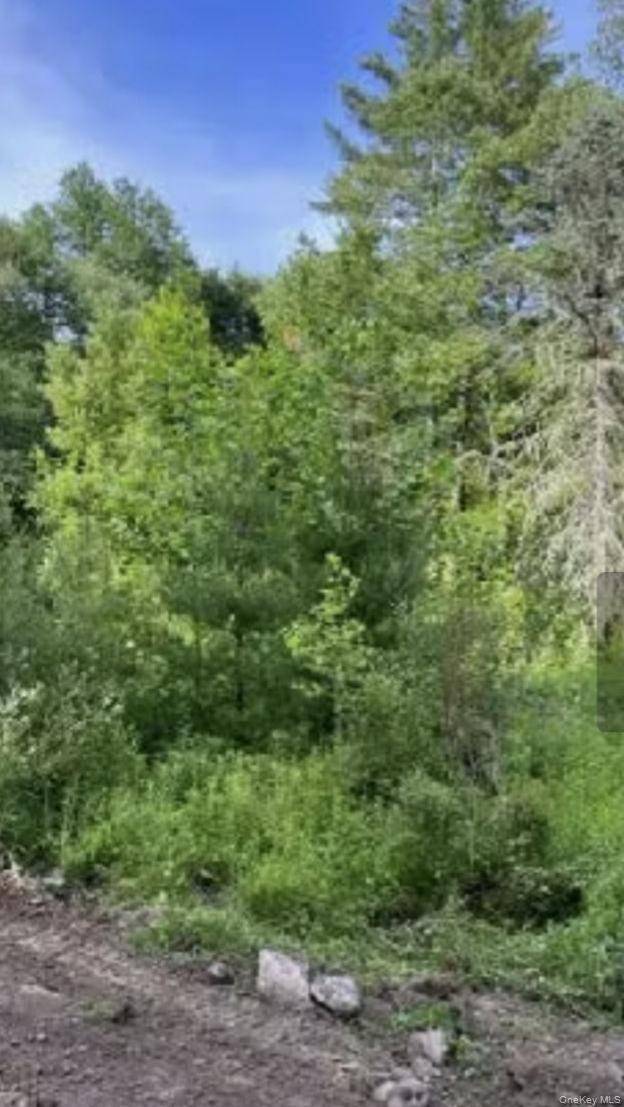 358/80 Ferguson LN, Wurtsboro, NY 12790