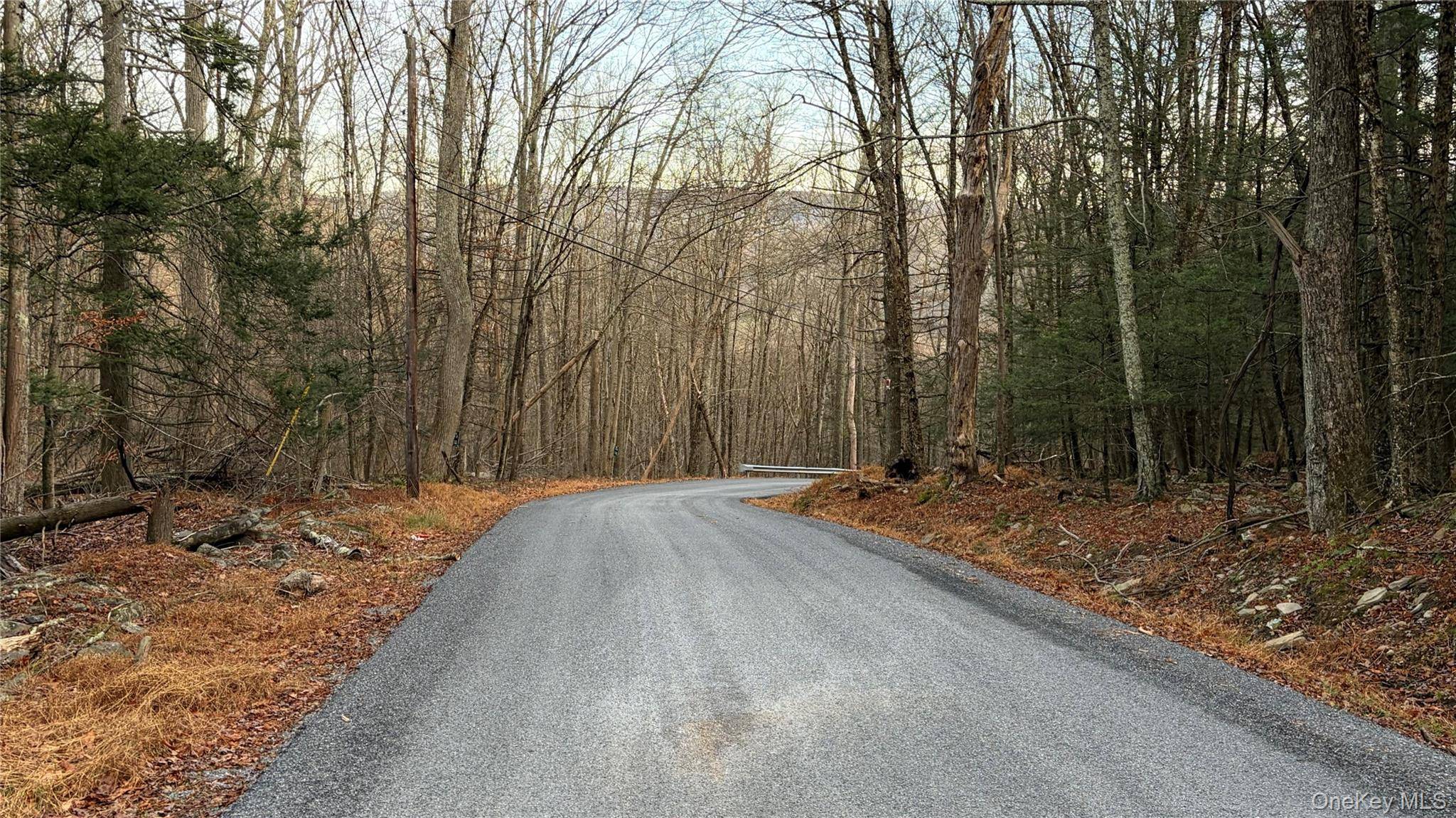 X Aldrich RD, Wurtsboro, NY 12790