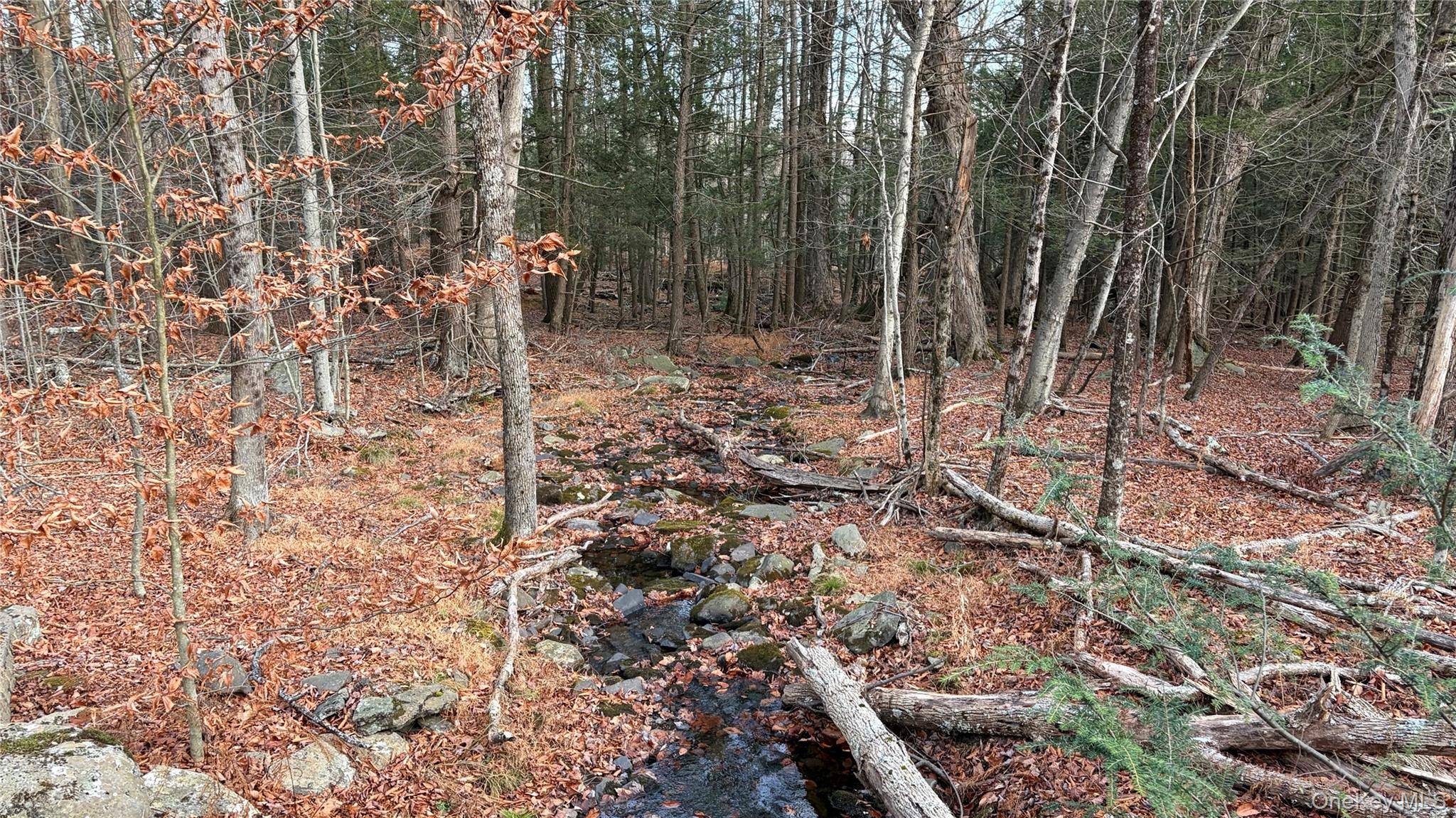 X Aldrich RD, Wurtsboro, NY 12790