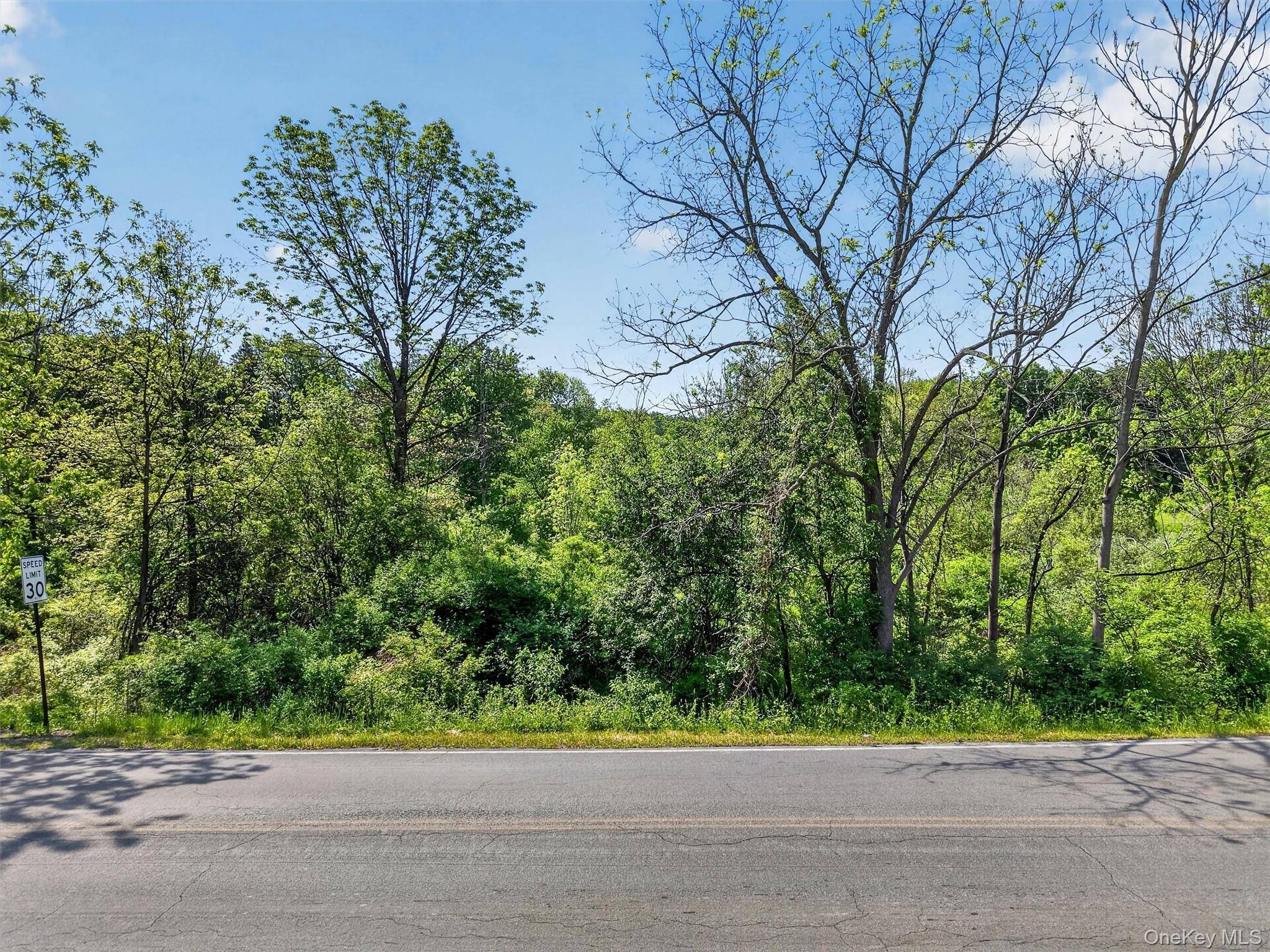 Moore's Hill RD, New Windsor, NY 12553