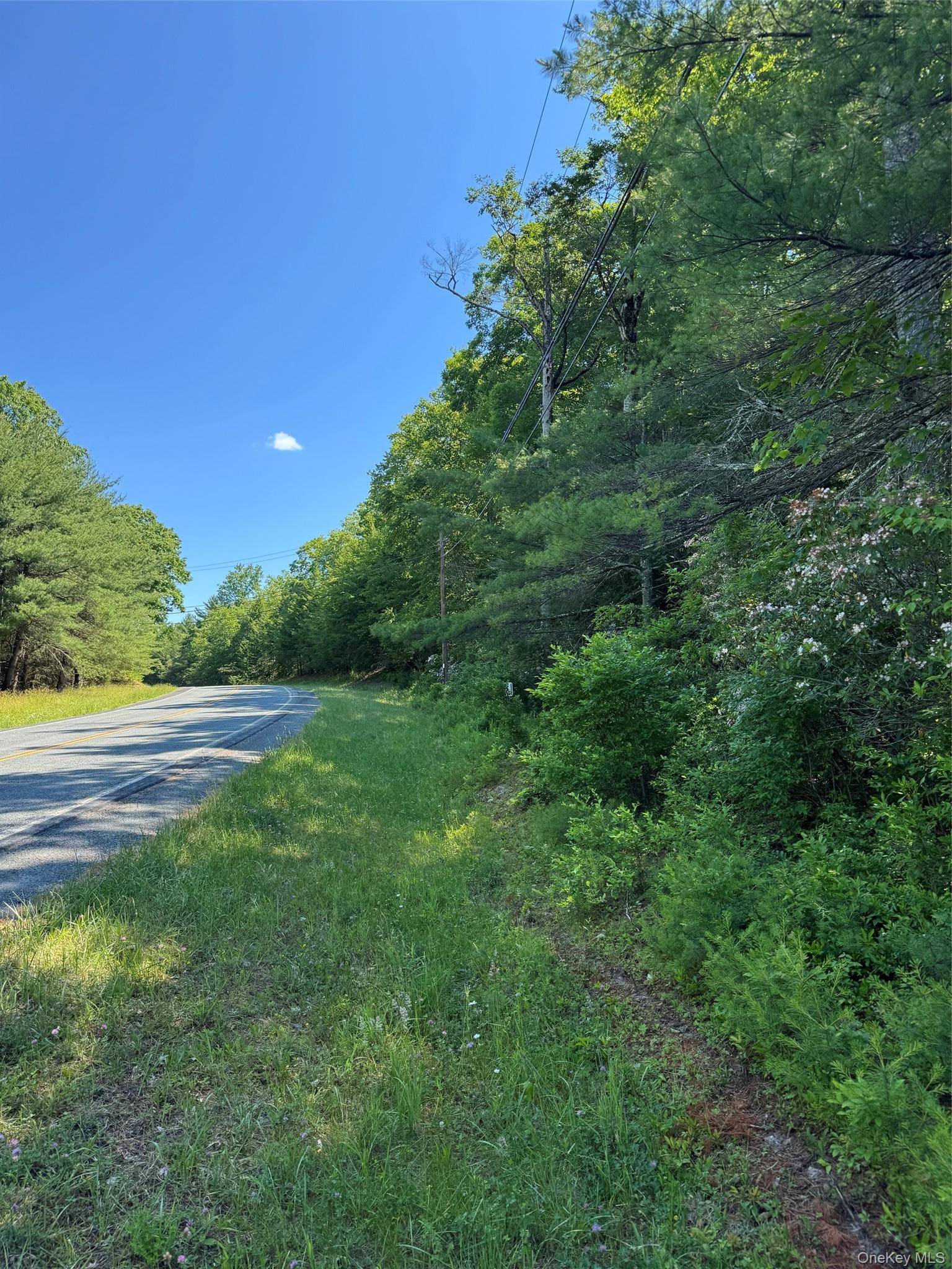 1315 Sackett Lake Rd, Forestburgh, NY 12777