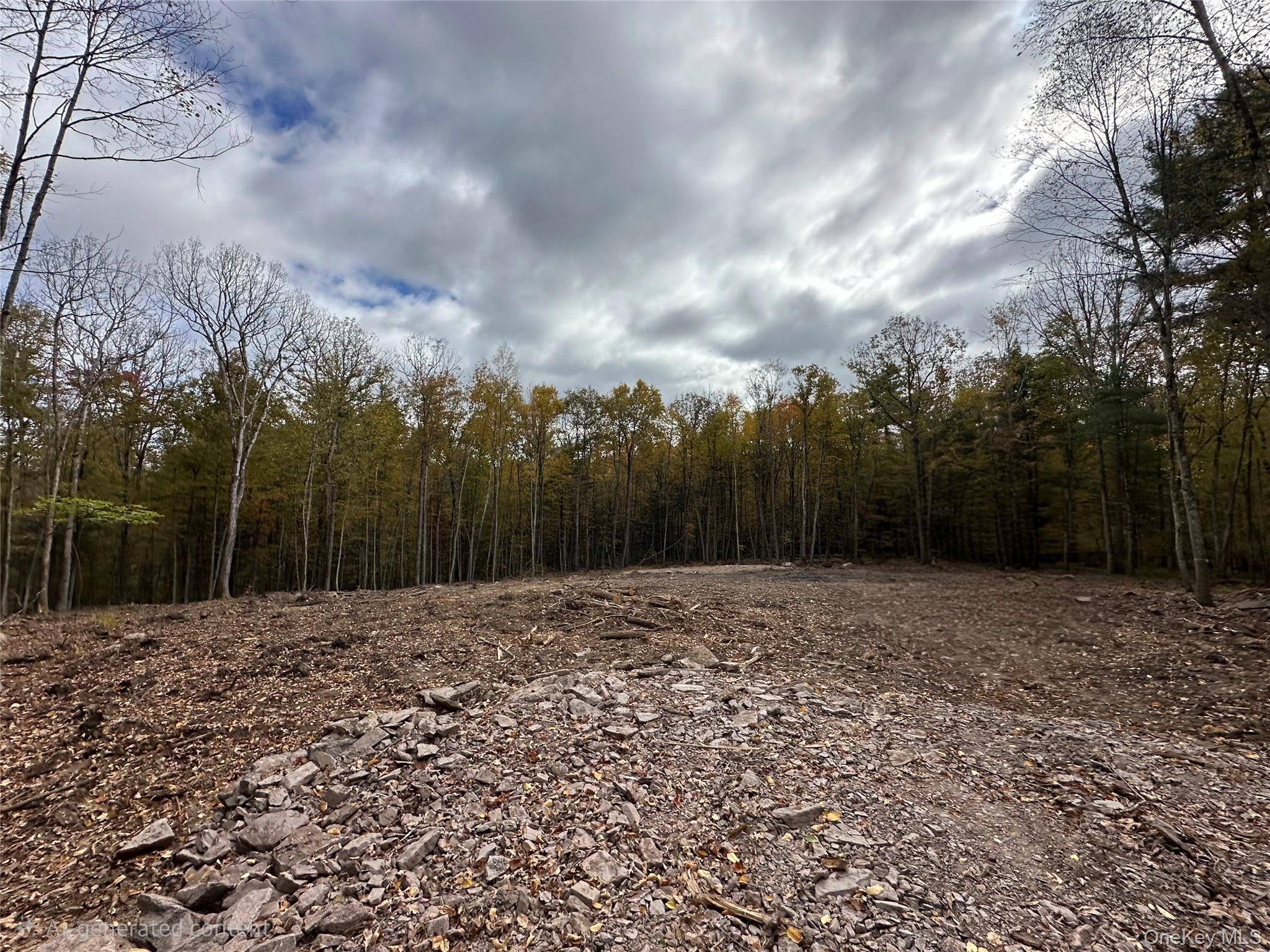 Lot 1.6 Foster (South) TRL, Narrowsburg, NY 12764
