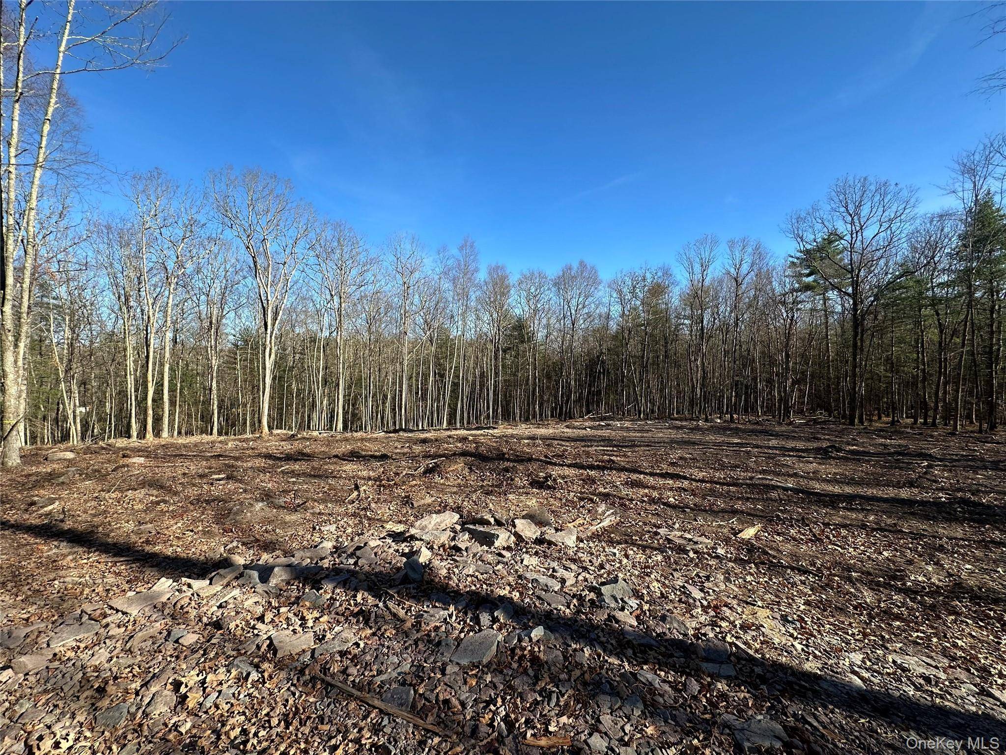 Lot 1.6 Foster (South) TRL, Narrowsburg, NY 12764
