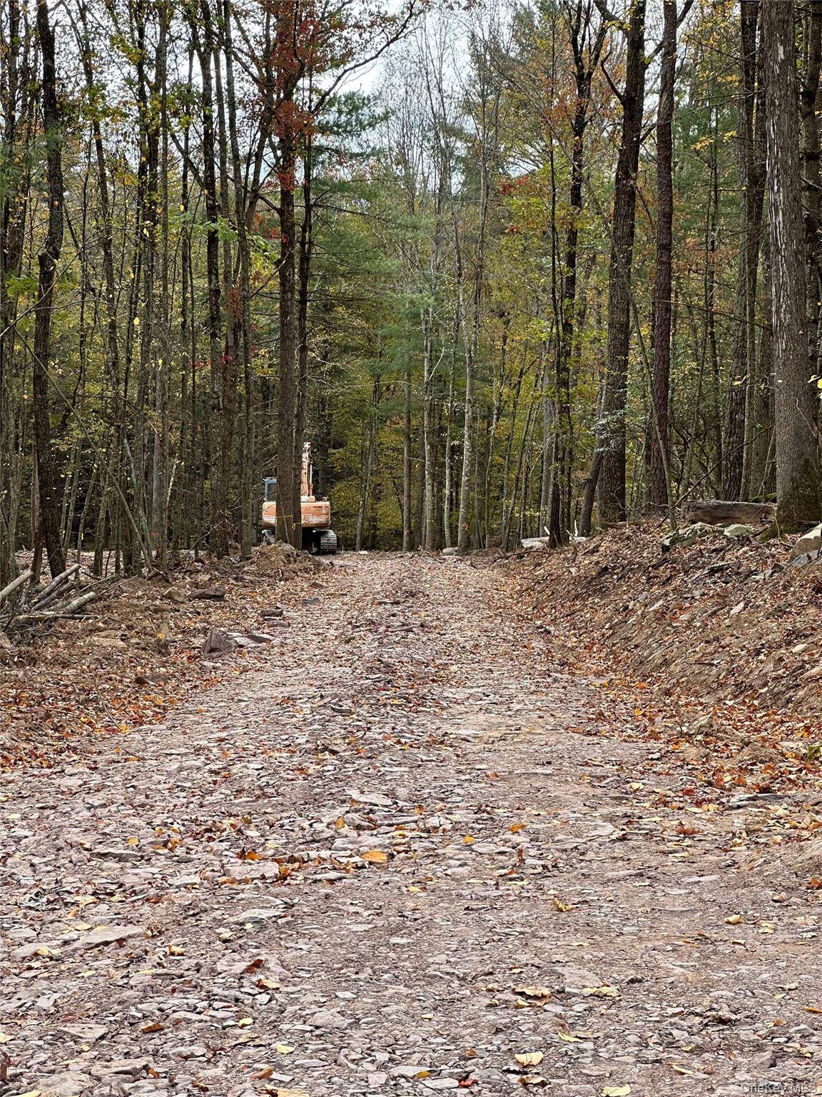 Lot 1.6 Foster (South) TRL, Narrowsburg, NY 12764