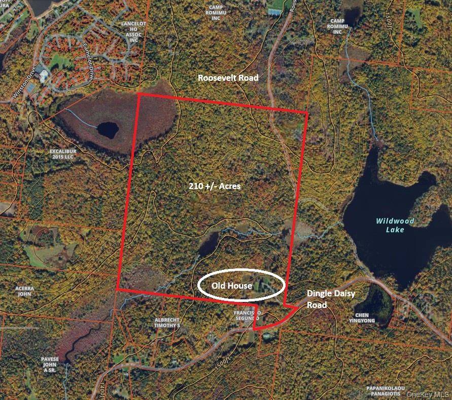 174 Dingle Daisy RD, Monticello, NY 12701