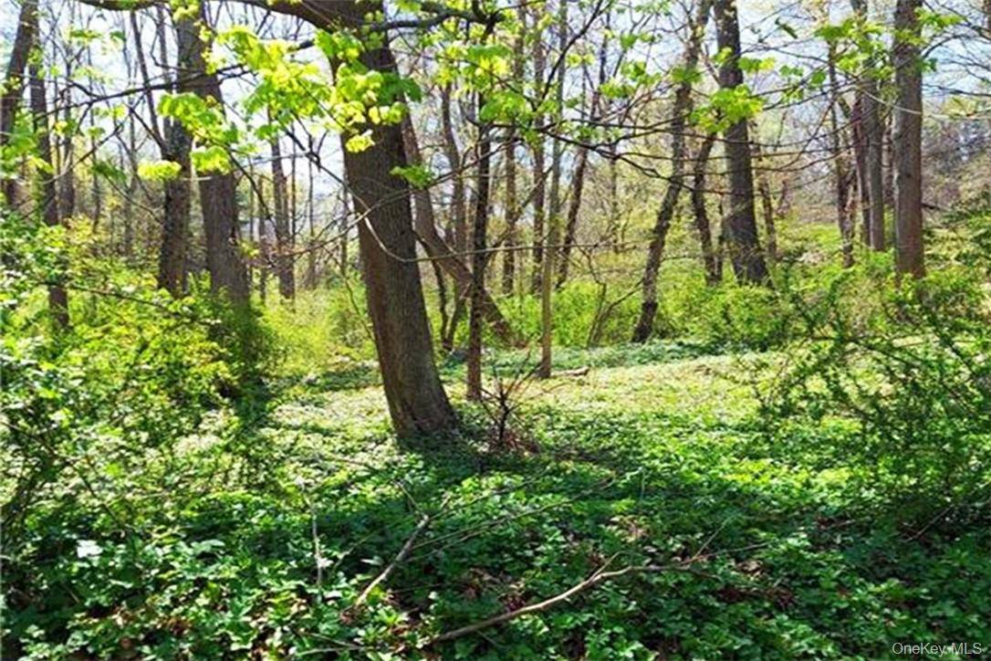 Pine Road & Pepperidge RD, Tuxedo Park, NY 10987