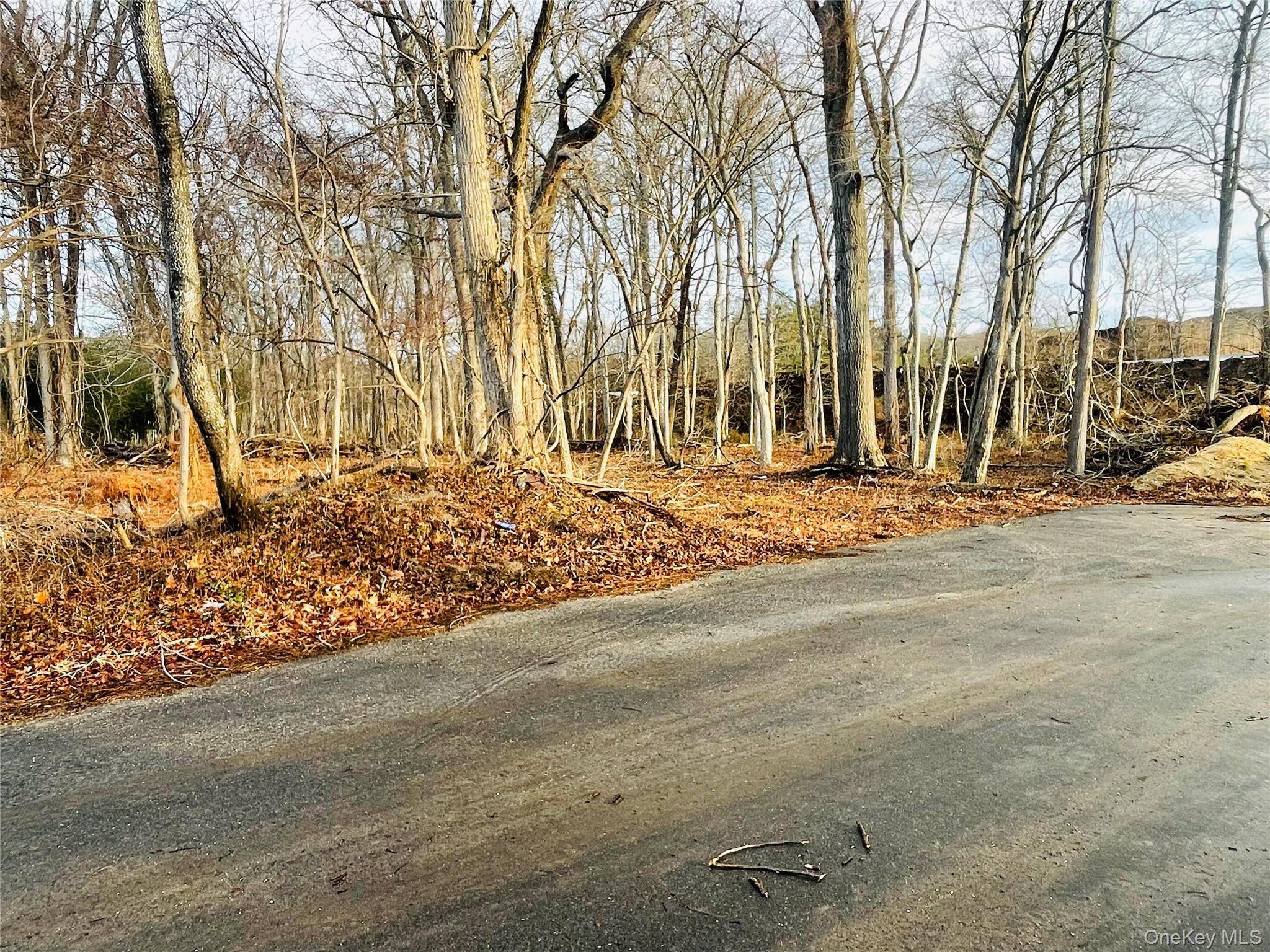 VL Daniel LN, Middle Island, NY 11953