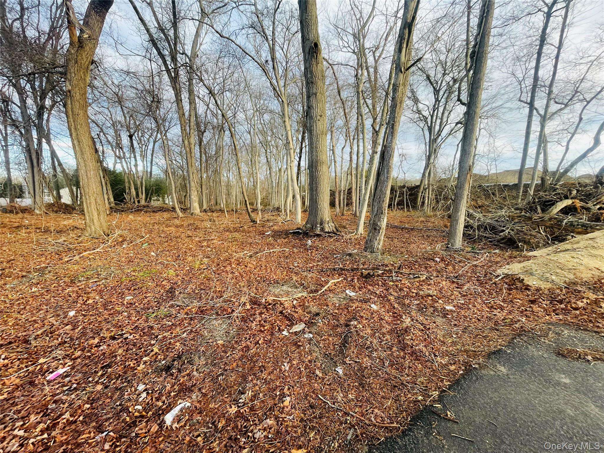 VL Daniel LN, Middle Island, NY 11953