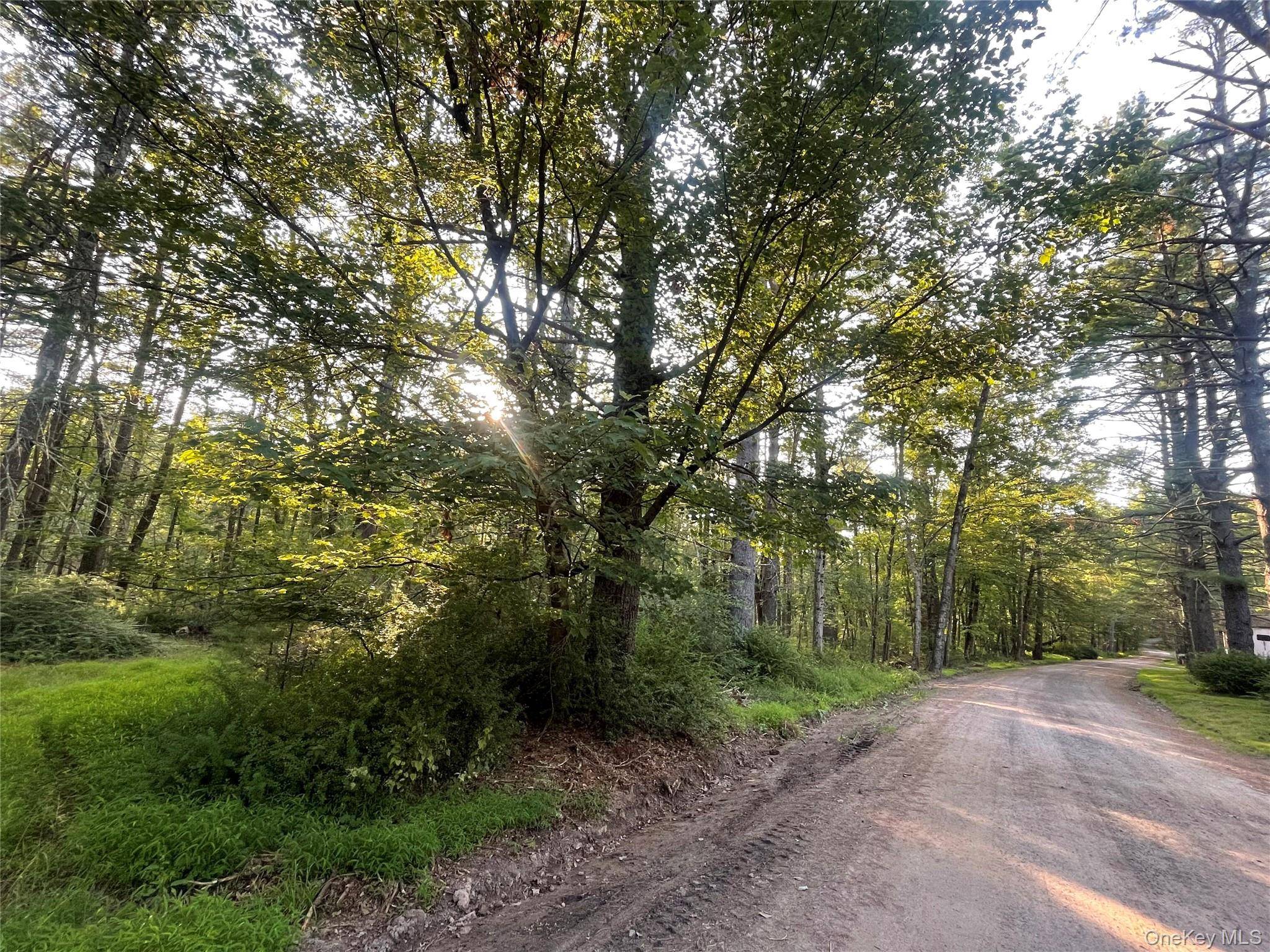Loch Ada RD, Barryville, NY 12737