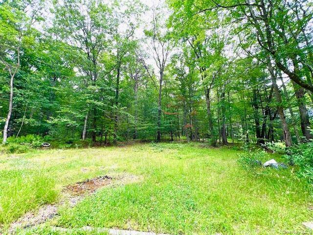 7584 N Route 97, Narrowsburg, NY 12764