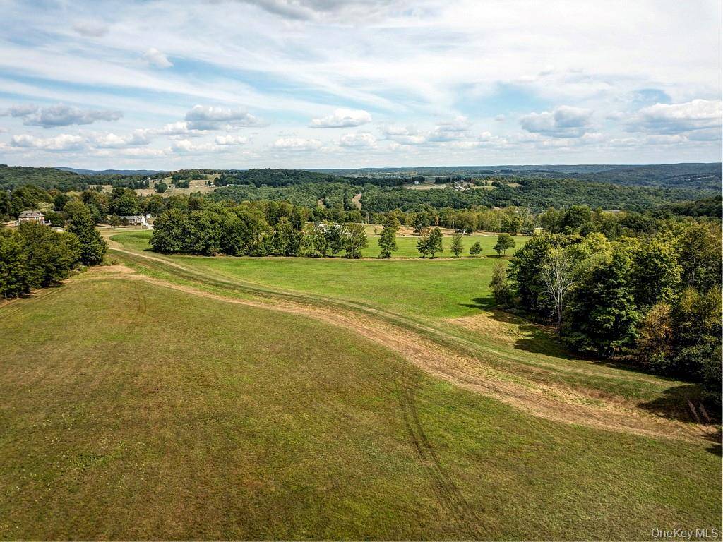 Bauernfeind RD, Callicoon, NY 12723