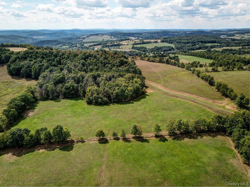 Bauernfeind RD, Callicoon, NY 12723