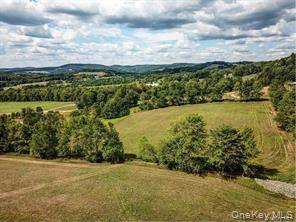 04 Bauernfiend RD, Callicoon, NY 12723
