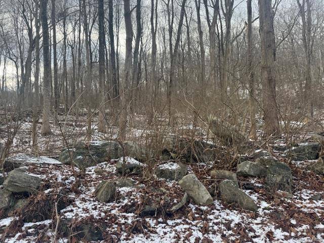 Lot 3 Eder RD, Stormville, NY 12582