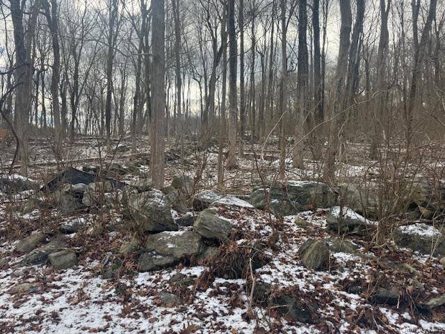 Lot 3 Eder RD, Stormville, NY 12582