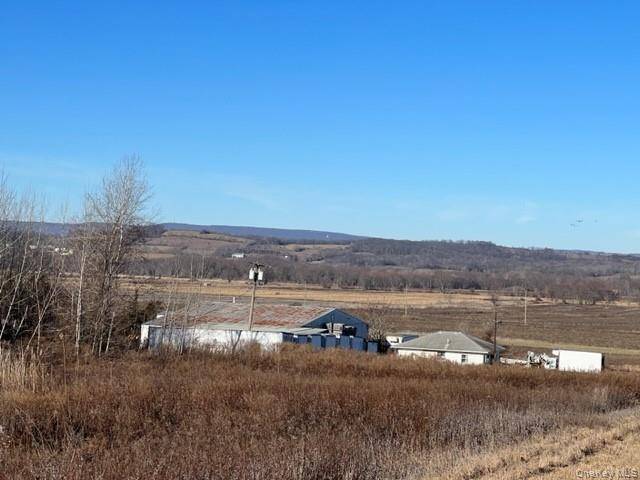 41 Bierstine LN, Pine Island, NY 10969