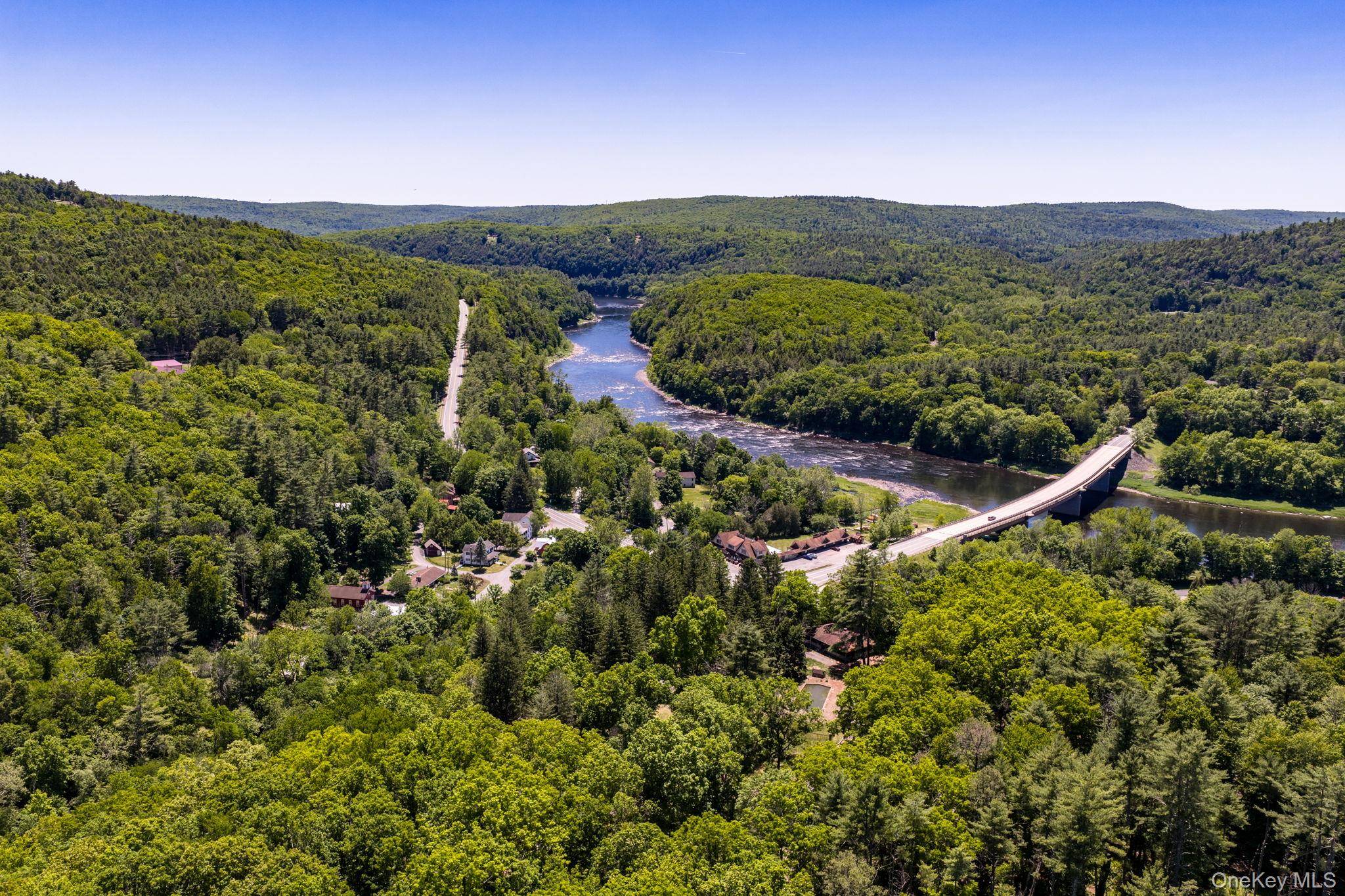 Lot 11.1 State Route 55 and Mail Road, Barryville, NY 12719