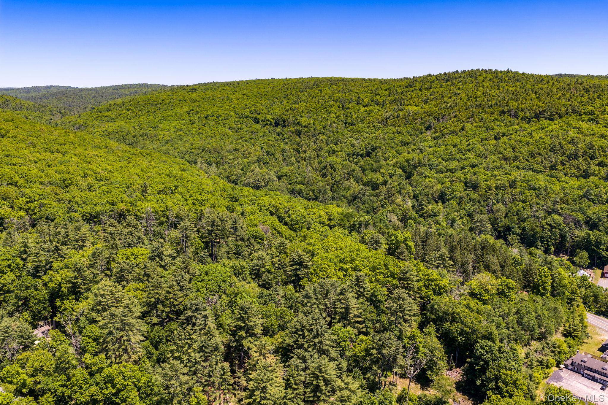 Lot 11.1 State Route 55 and Mail Road, Barryville, NY 12719