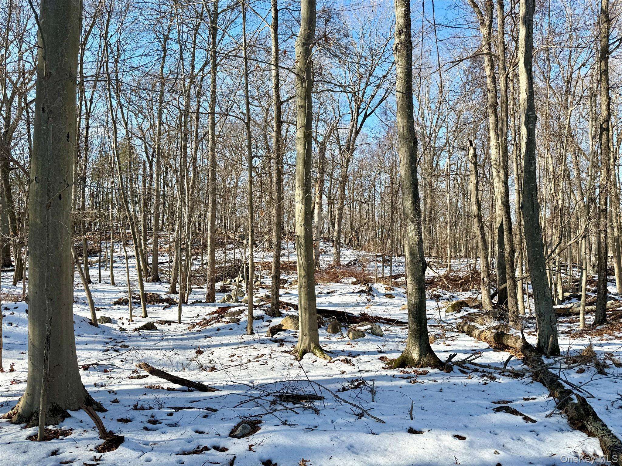 8 Maple Ridge TRL, North Salem, NY 10560