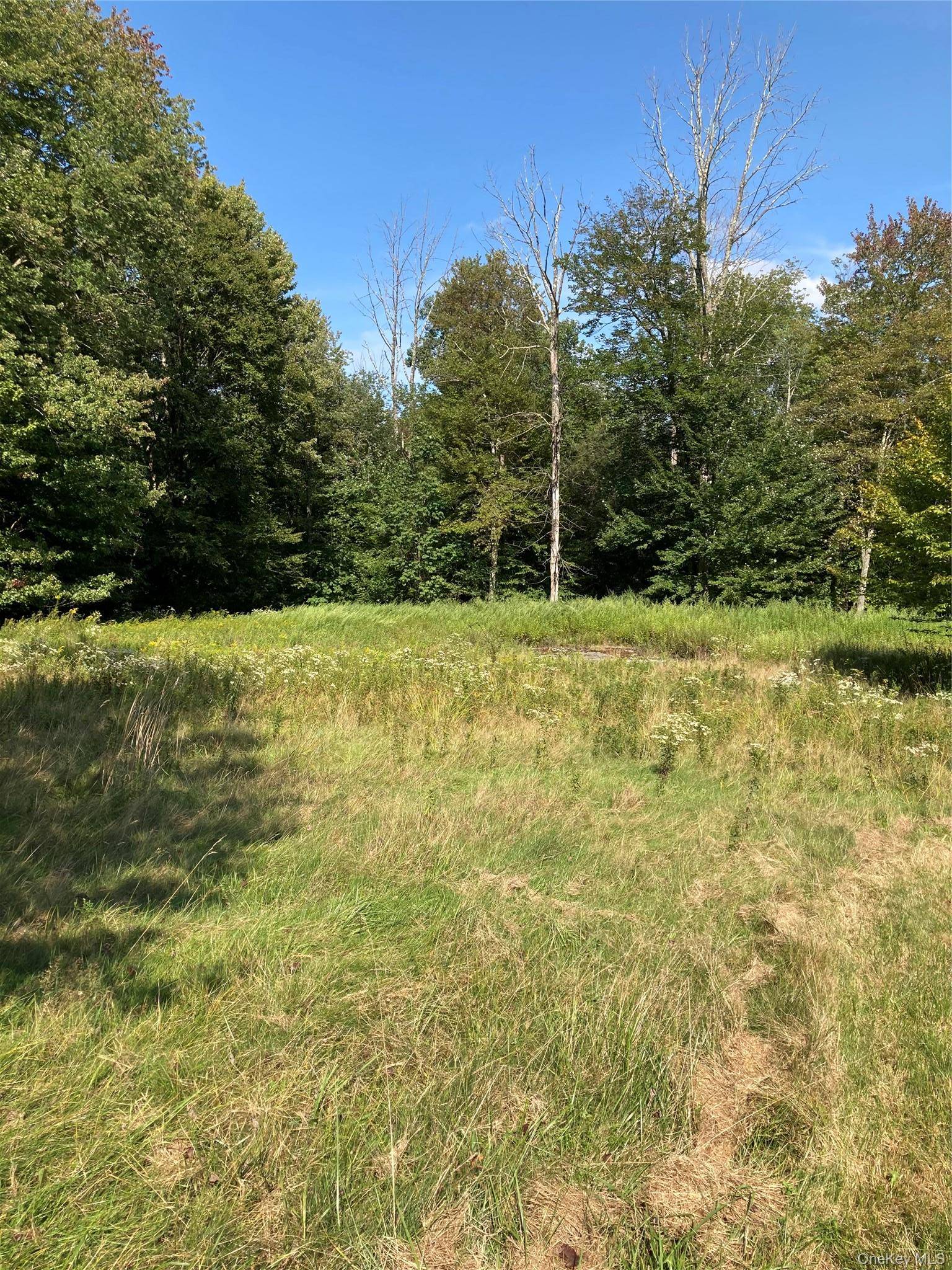 699 Budd RD, Woodbourne, NY 12788