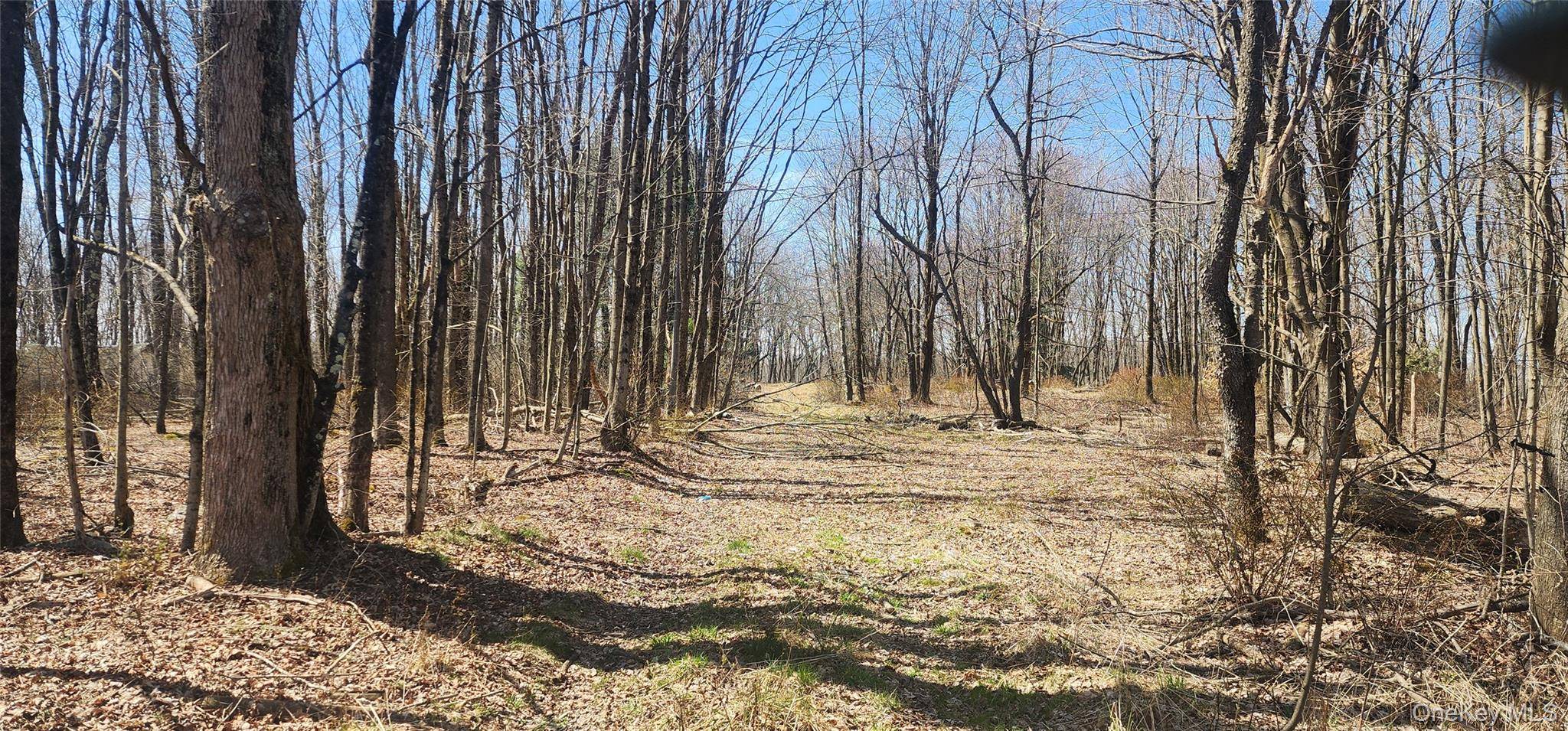 00 Liberty ST, Monticello, NY 12701