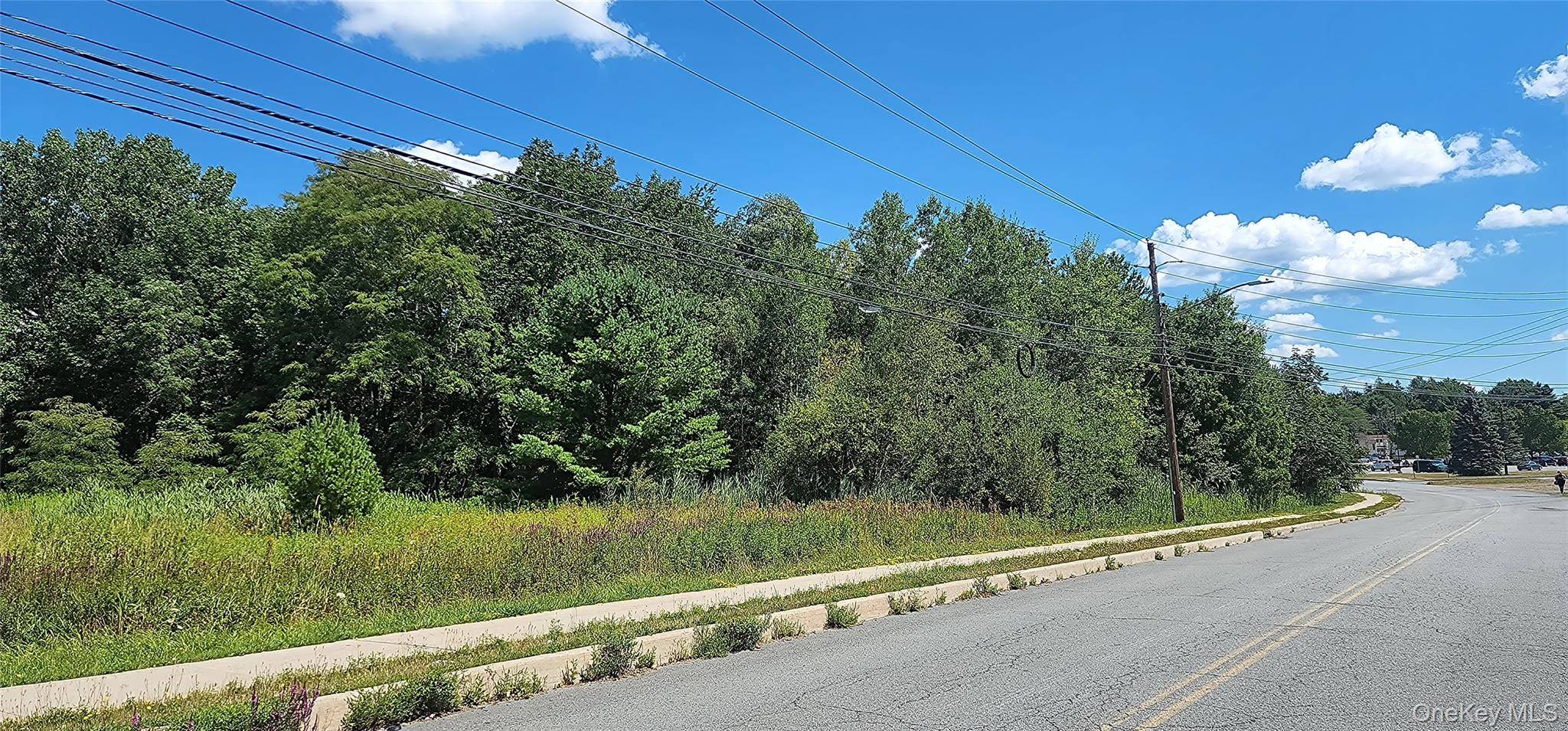 00 Sturgis RD, Monticello, NY 12701