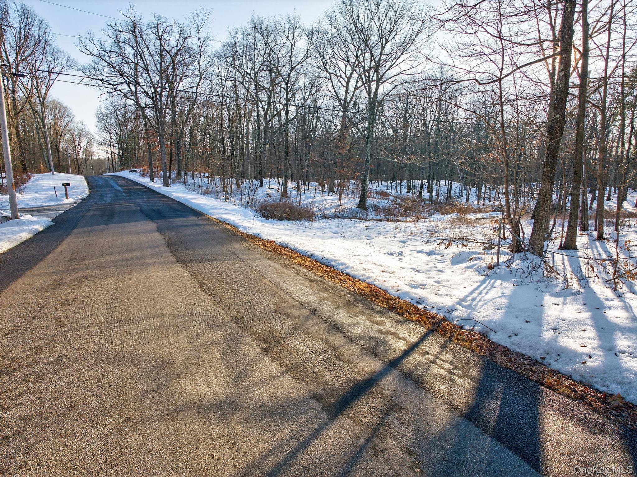 TBD Hicks Hill RD, Pine Plains, NY 12401