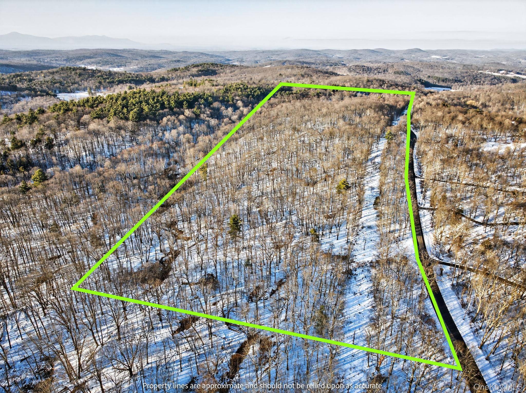 TBD Hicks Hill RD, Pine Plains, NY 12401
