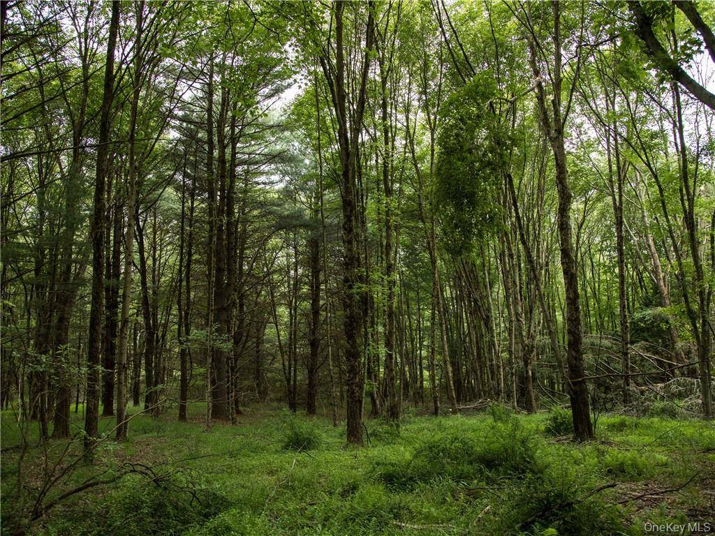 Lot 4 Chapin TRL, Bethel, NY 12720