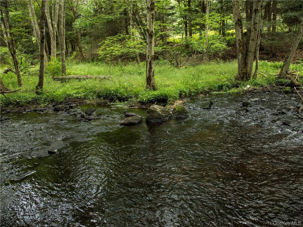 Lot 4 Chapin TRL, Bethel, NY 12720