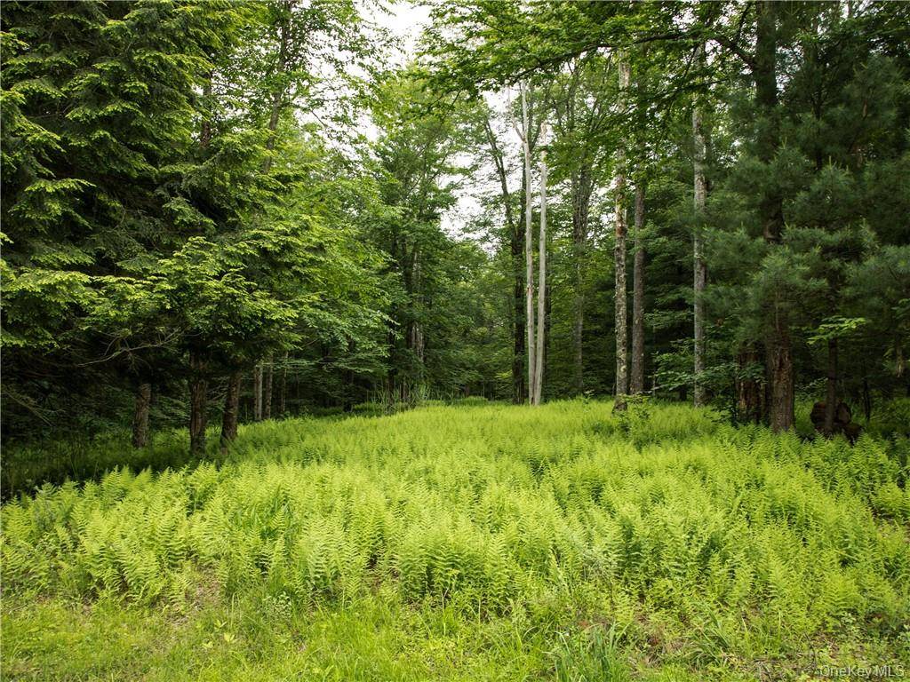 Lot 4 Chapin TRL, Bethel, NY 12720