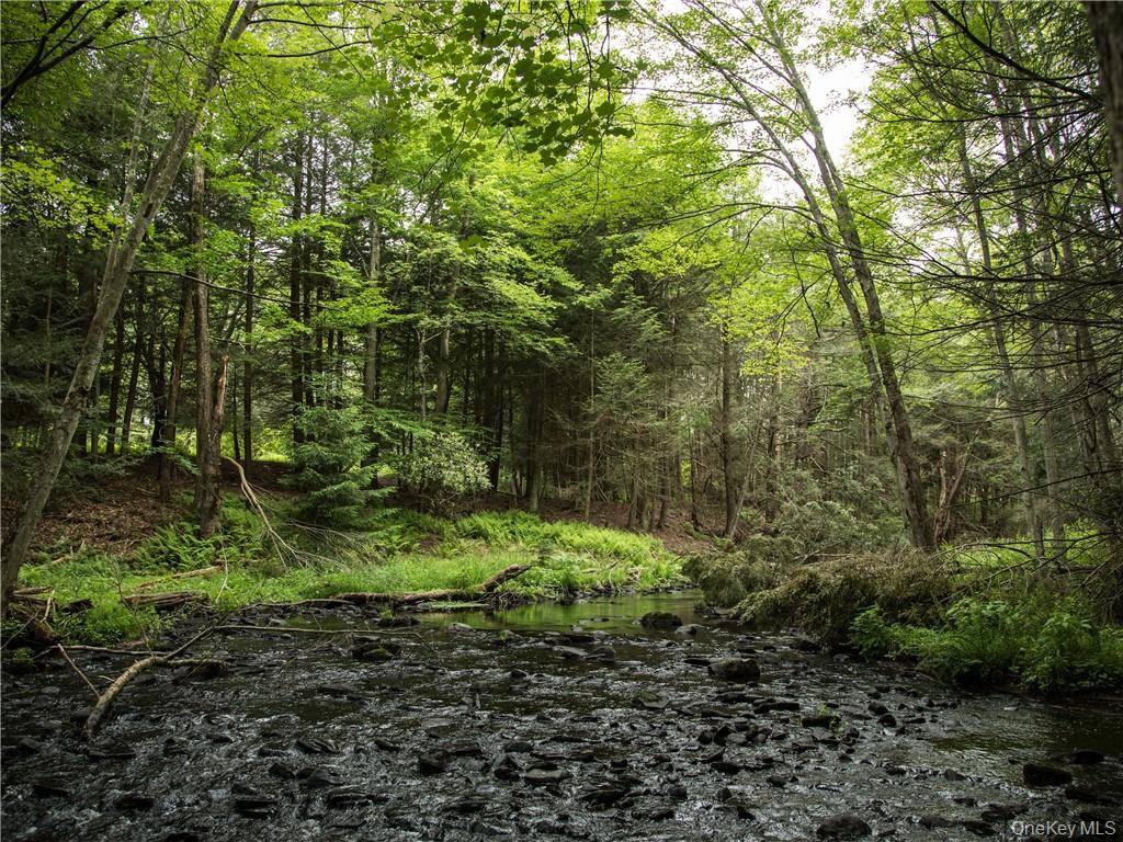 Lot 4 Chapin TRL, Bethel, NY 12720