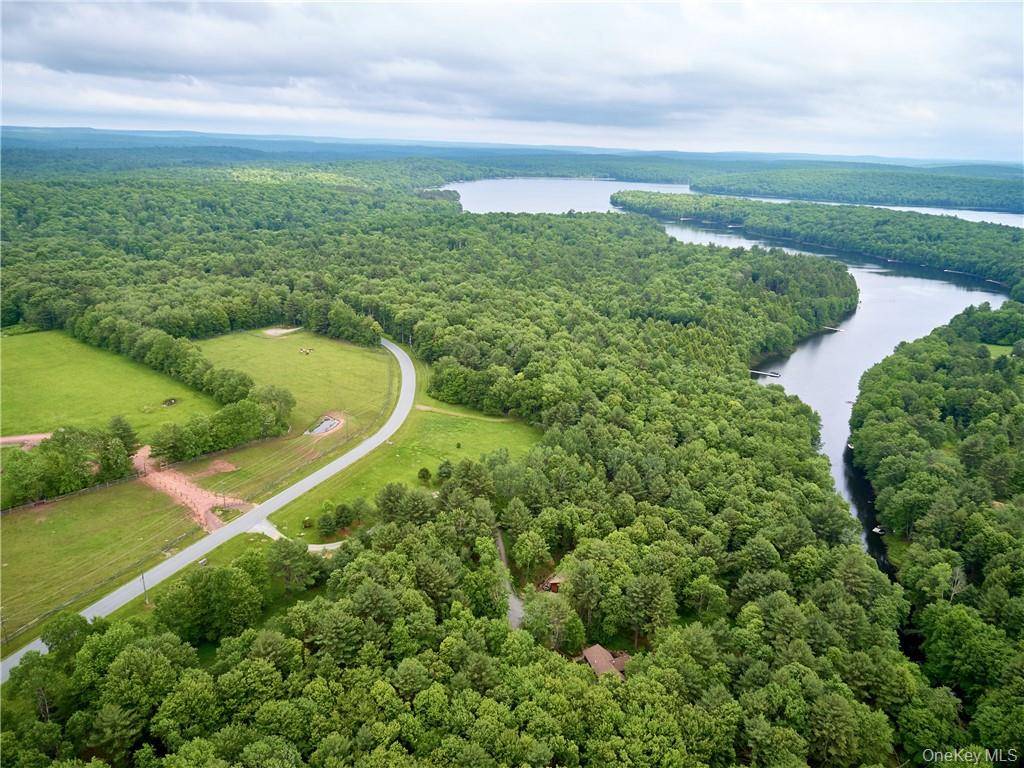 Lot 4 Chapin TRL, Bethel, NY 12720