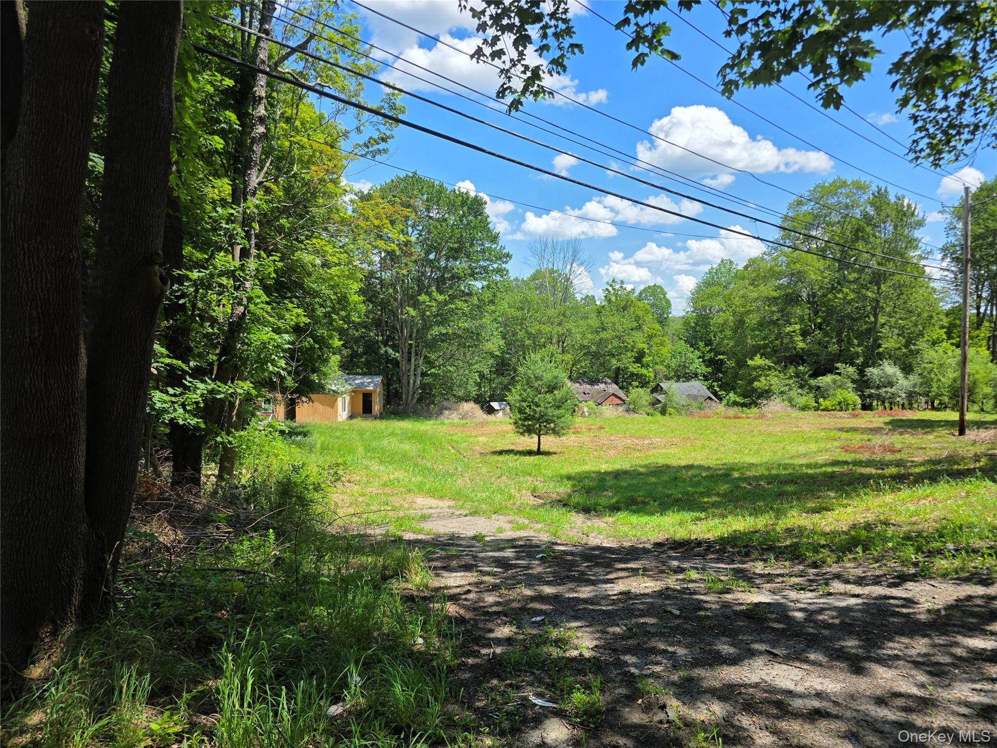 1094 Old Route 17, Harris, NY 12742