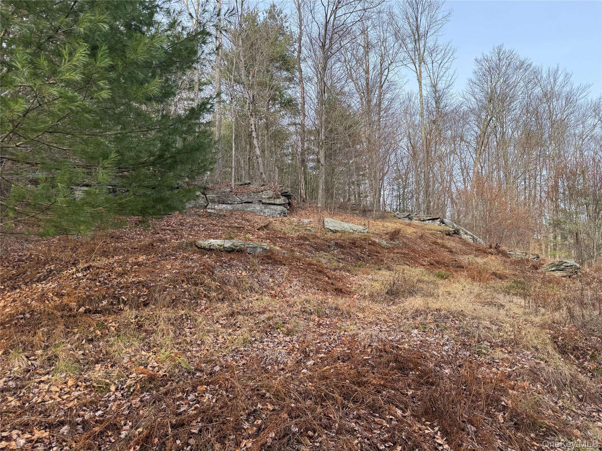 Hilltop RD, Monticello, NY 12701