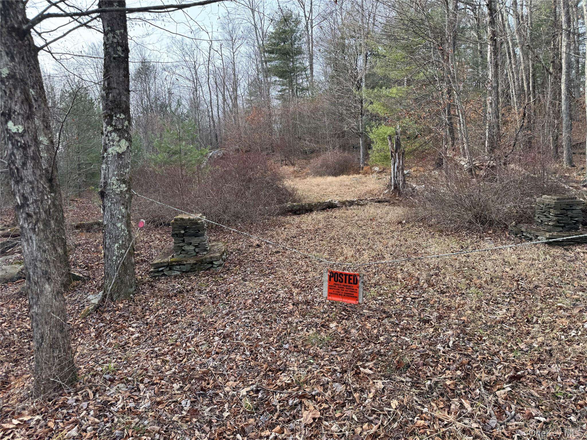 Hilltop RD, Monticello, NY 12701