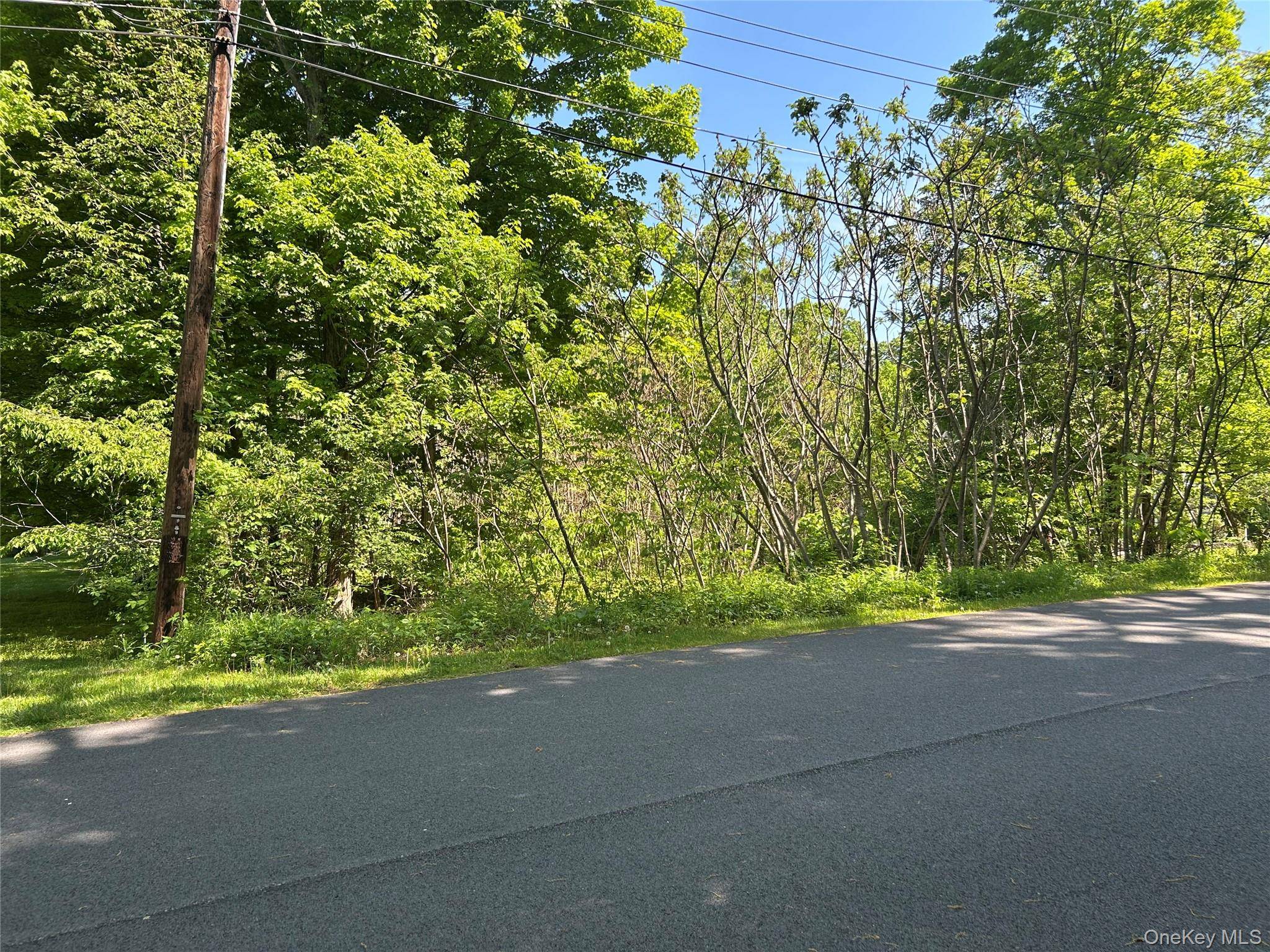20 Hickory LN, Pawling, NY 12564