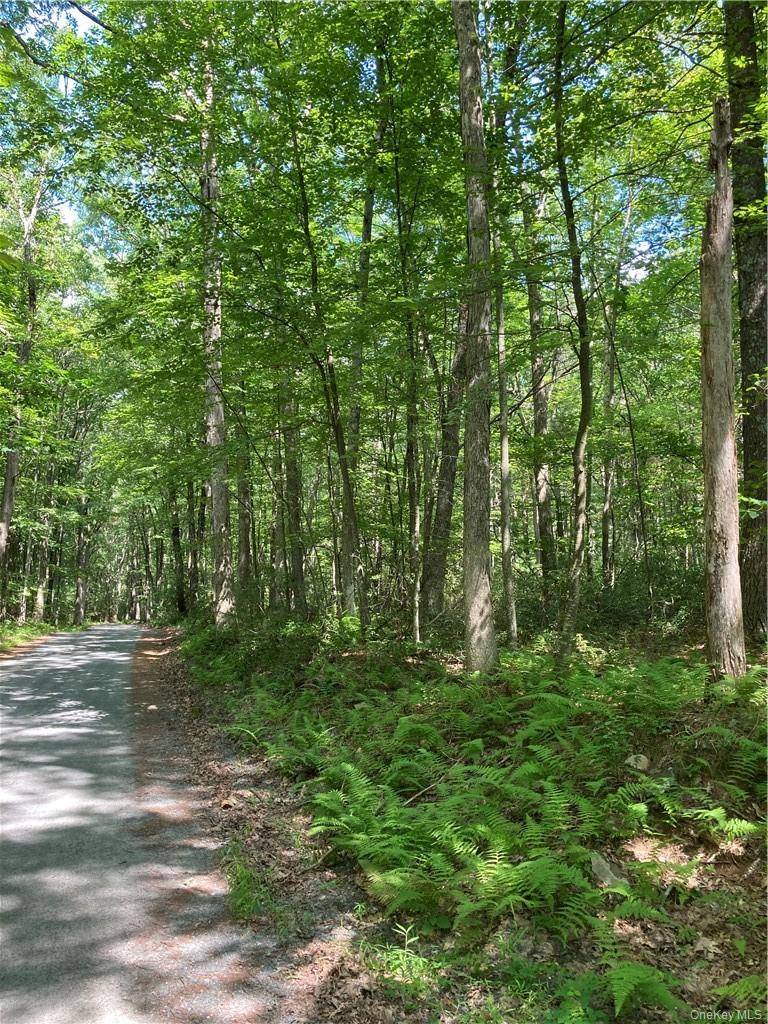 Allen RD, Wurtsboro, NY 12790