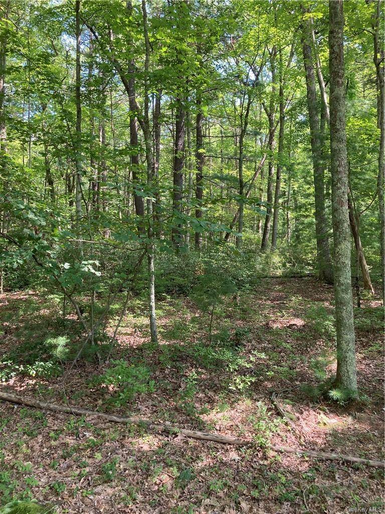 Allen RD, Wurtsboro, NY 12790