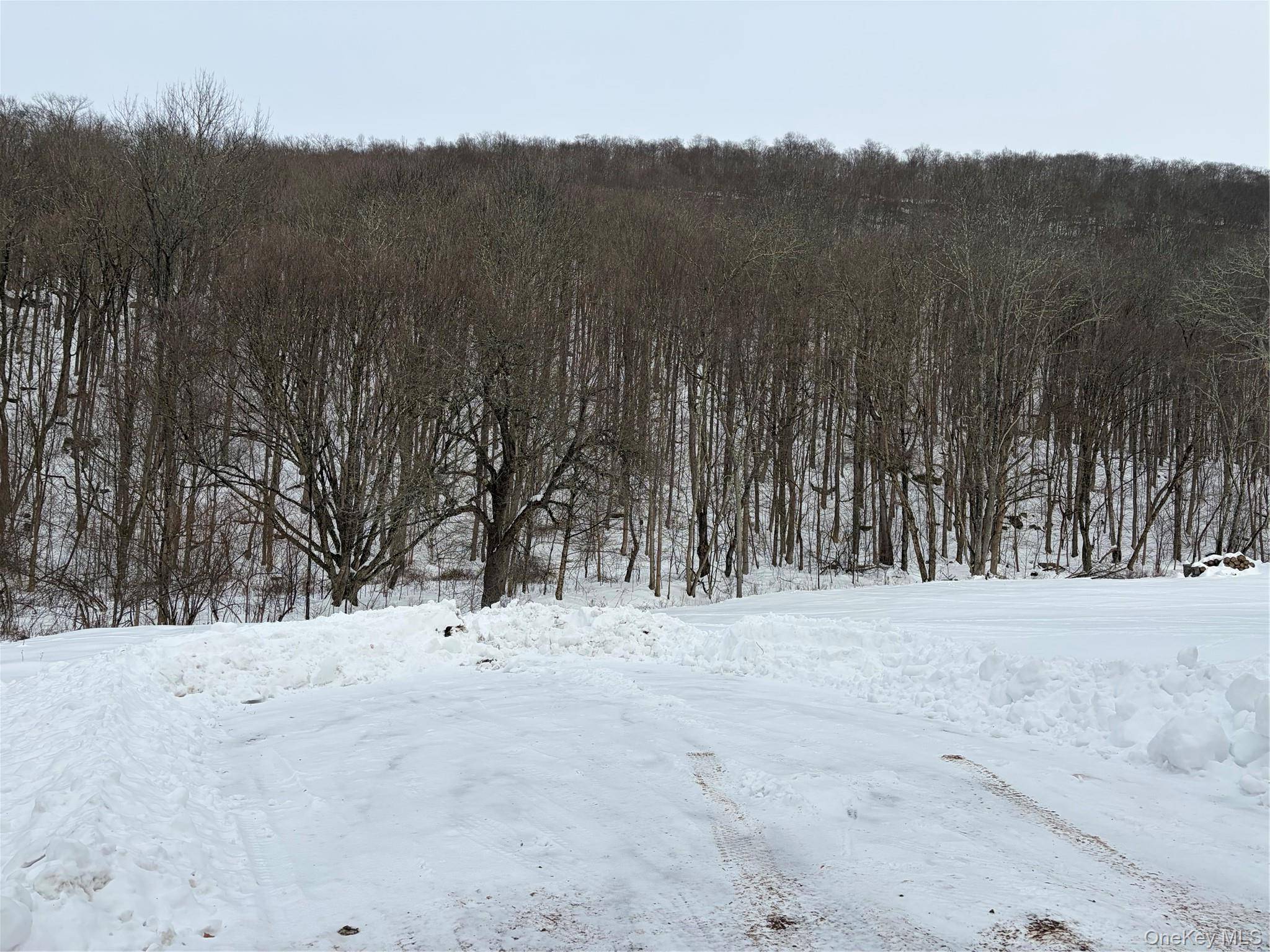 790 Oak, East Branch, NY 13783