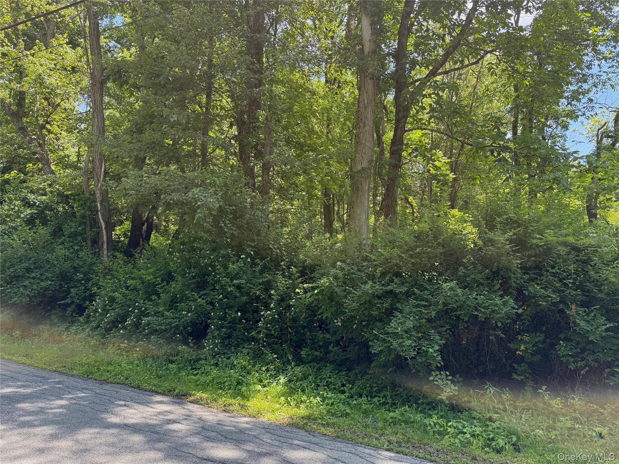 Schoolhouse RD, Staatsburg, NY 12580