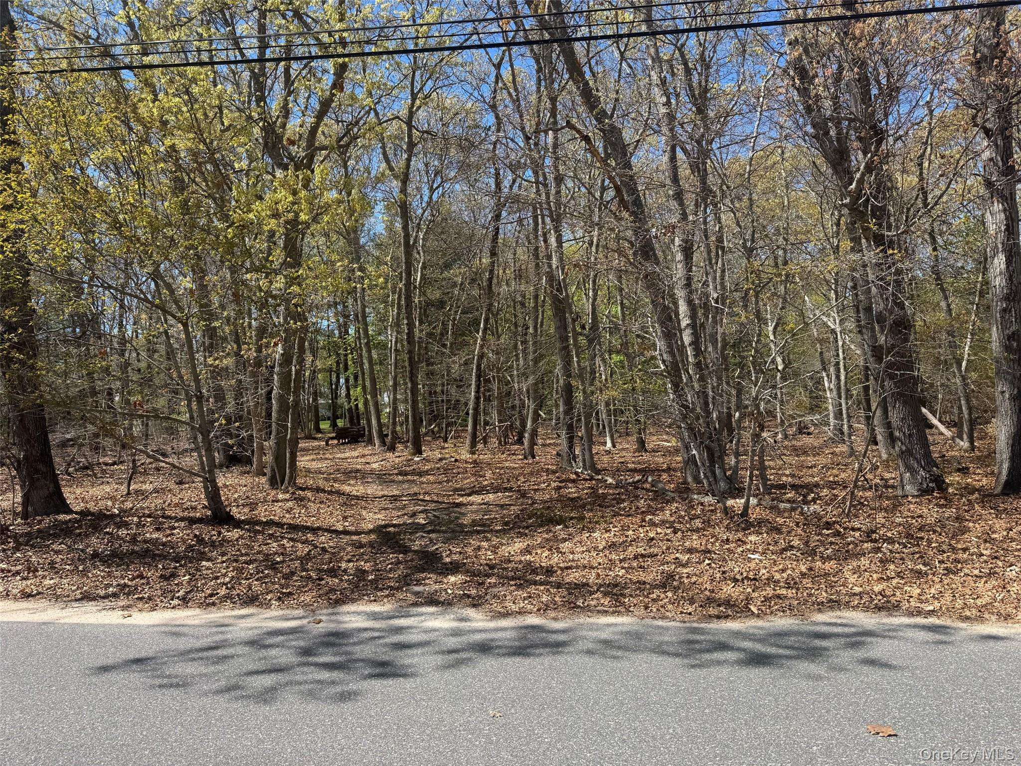 725 Youngs AVE, Mattituck, NY 11952