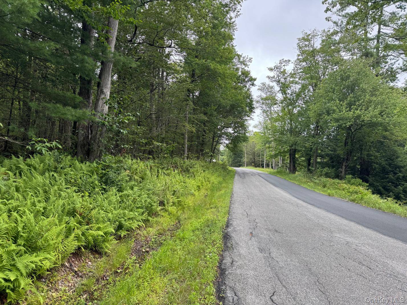 00 Starlight RD, Monticello, NY 12701