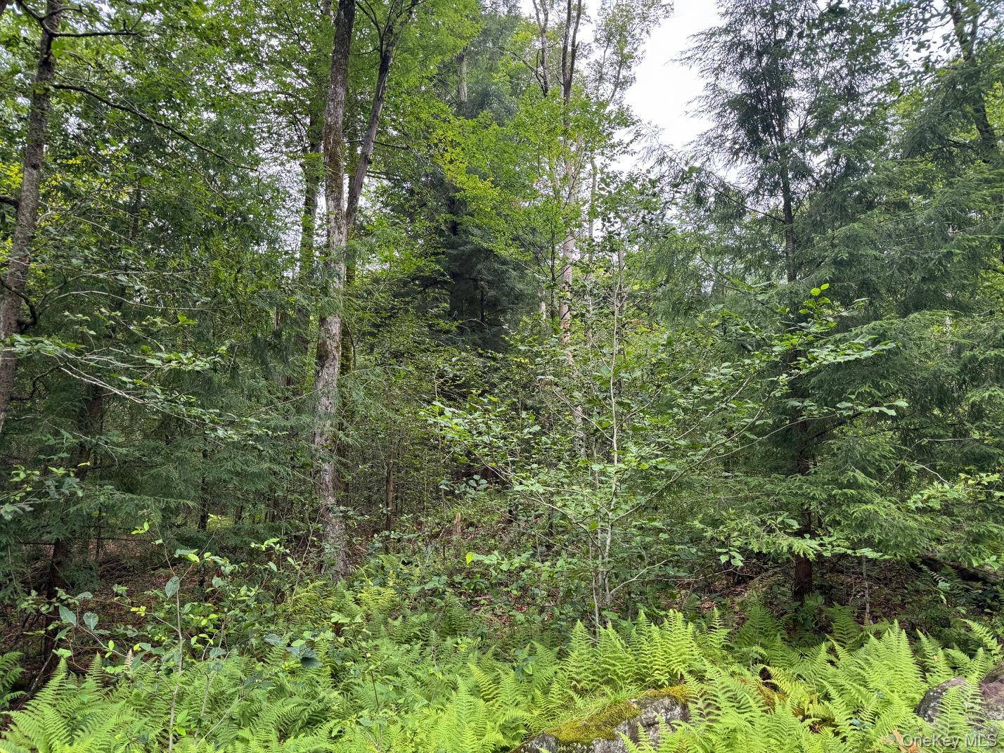 00 Starlight RD, Monticello, NY 12701