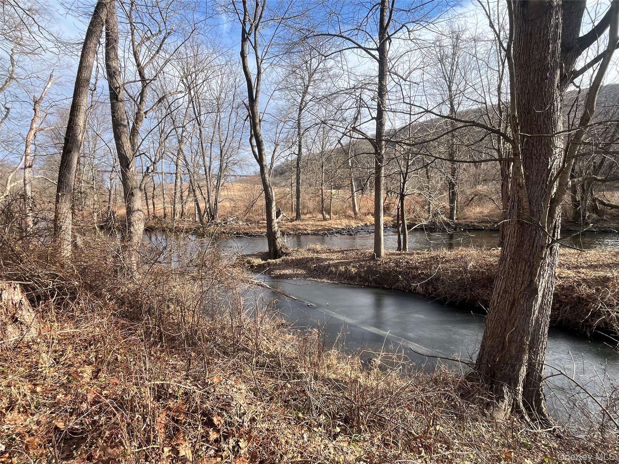 140 Orrs Mills RD, Salisbury Mills, NY 12577