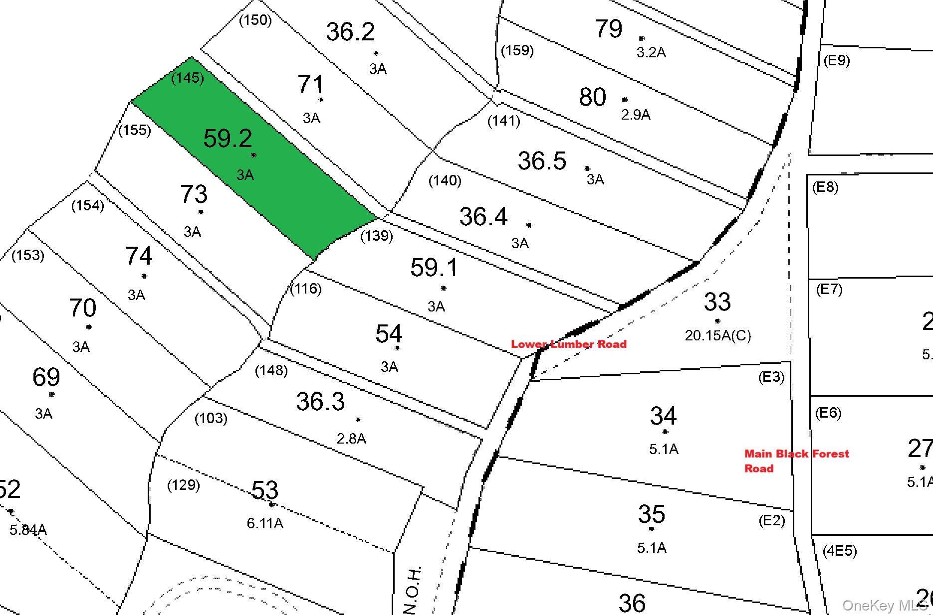 Lot 59.2 Lower Lumber RD, Glen Spey, NY 12737