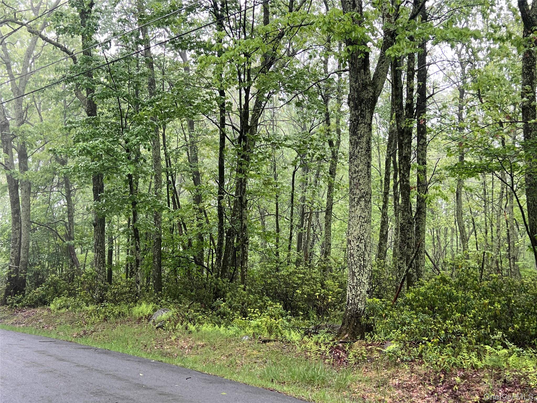 Budd RD, Wurtsboro, NY 12790