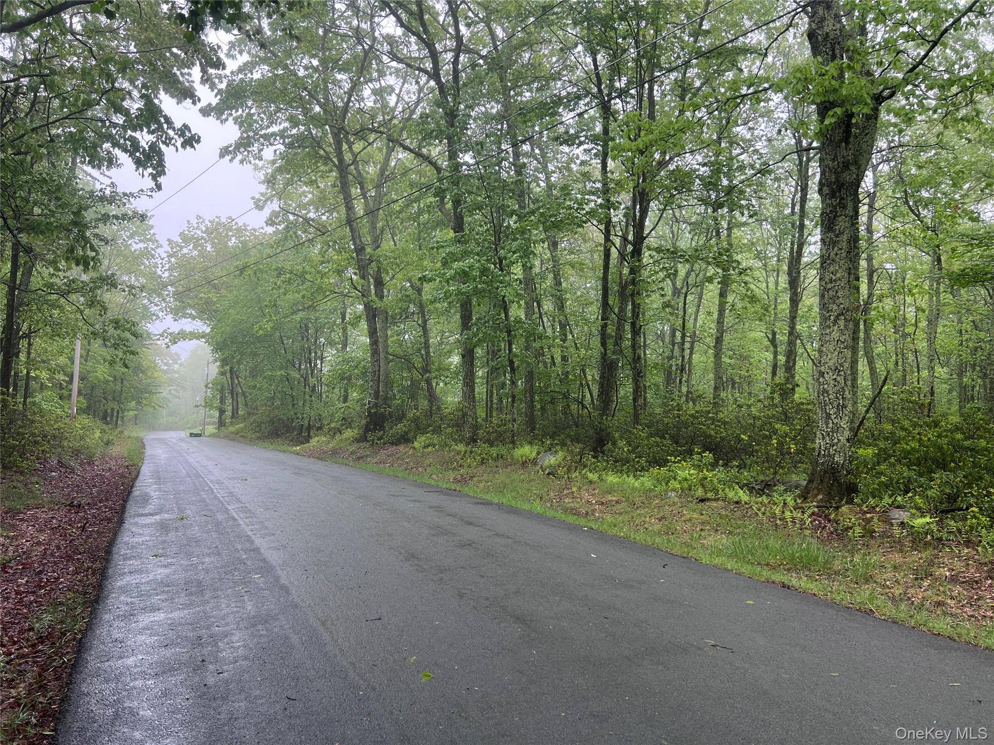 Budd RD, Wurtsboro, NY 12790