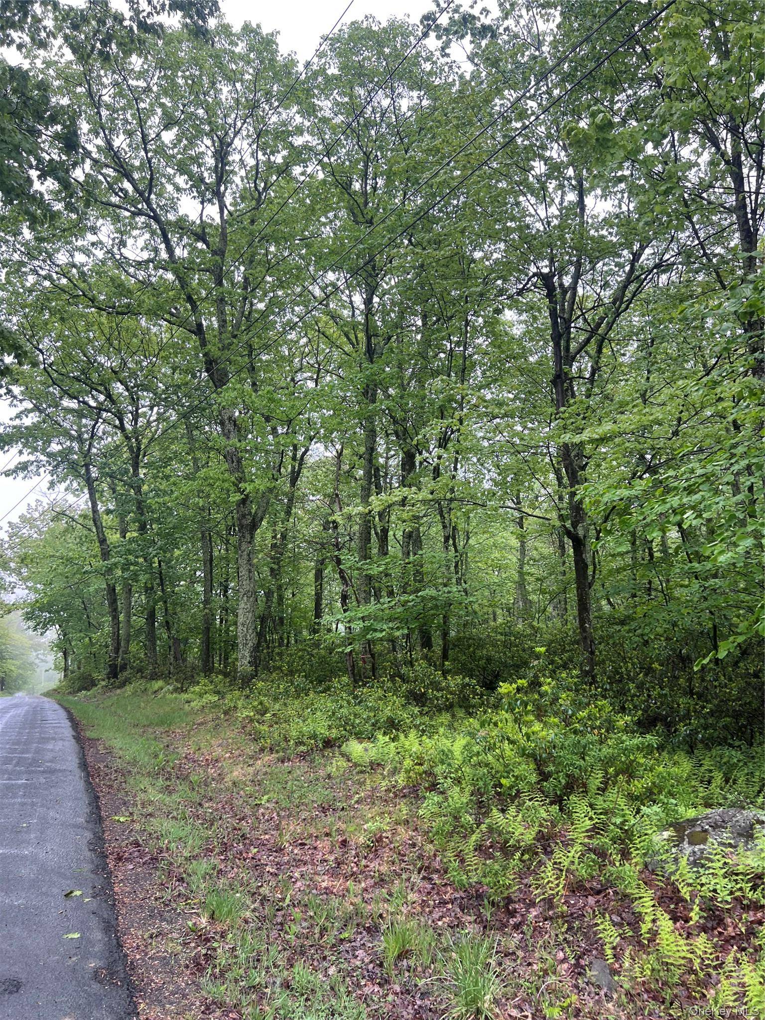 Budd RD, Wurtsboro, NY 12790
